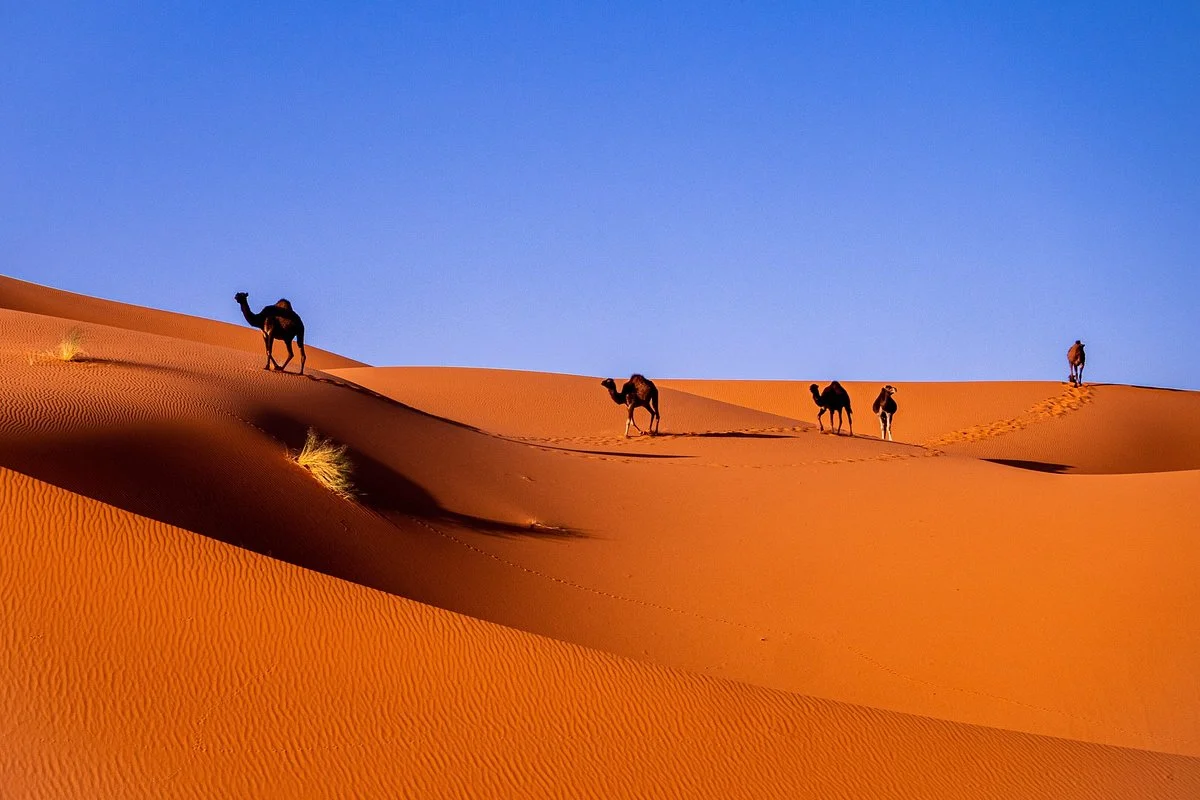 Hua Nian Travel Agency