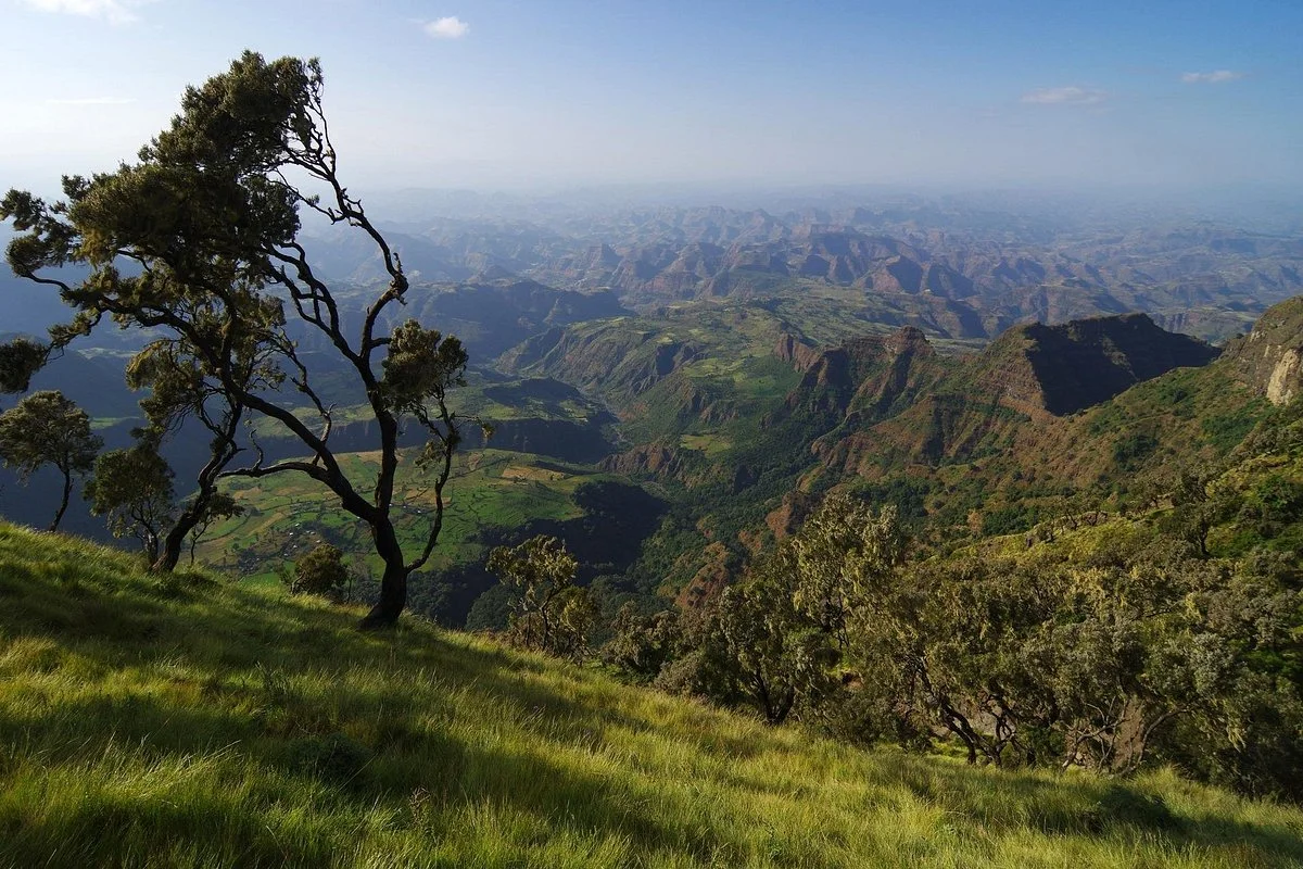 Markland Eco Tours