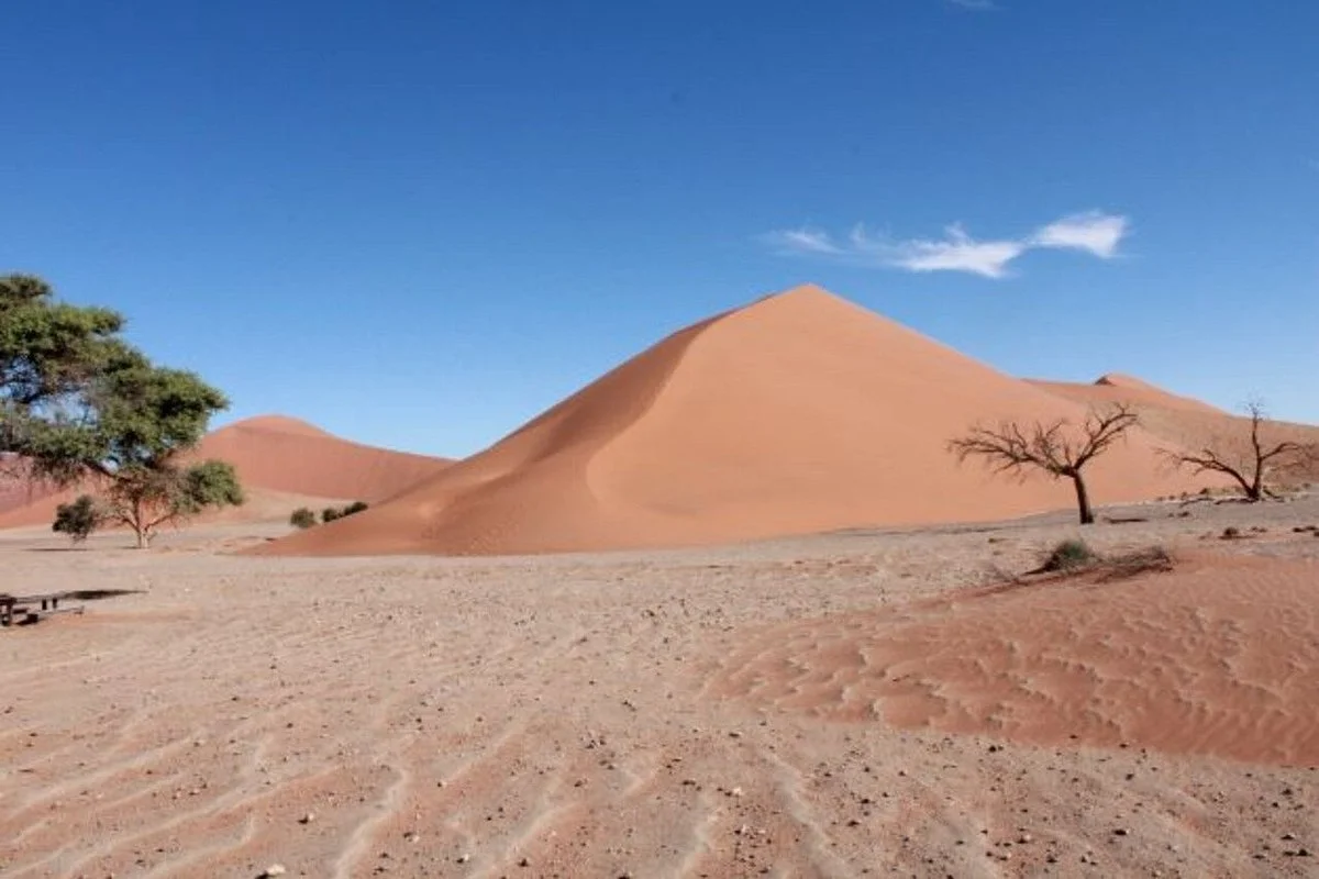 People Tour and Safaris