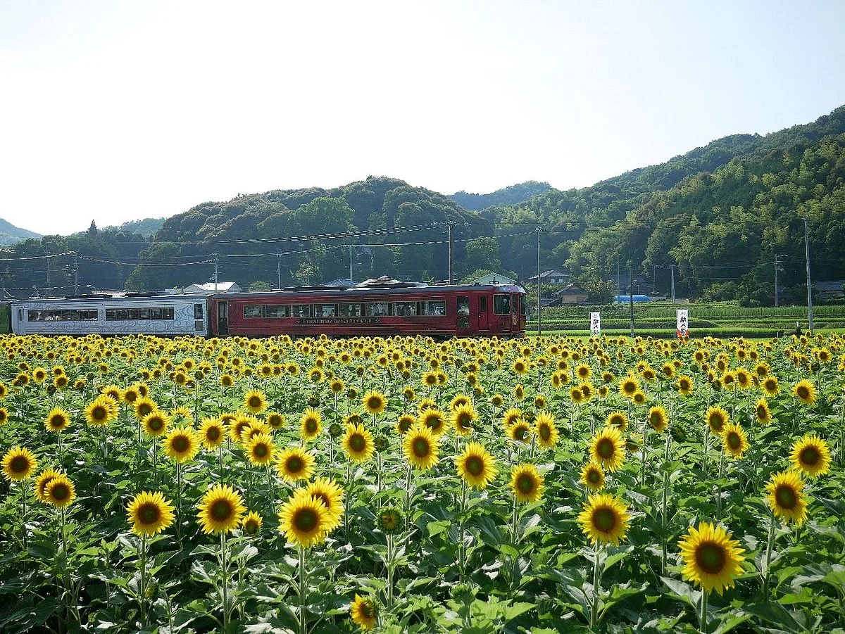 Himawari no Sato Manno