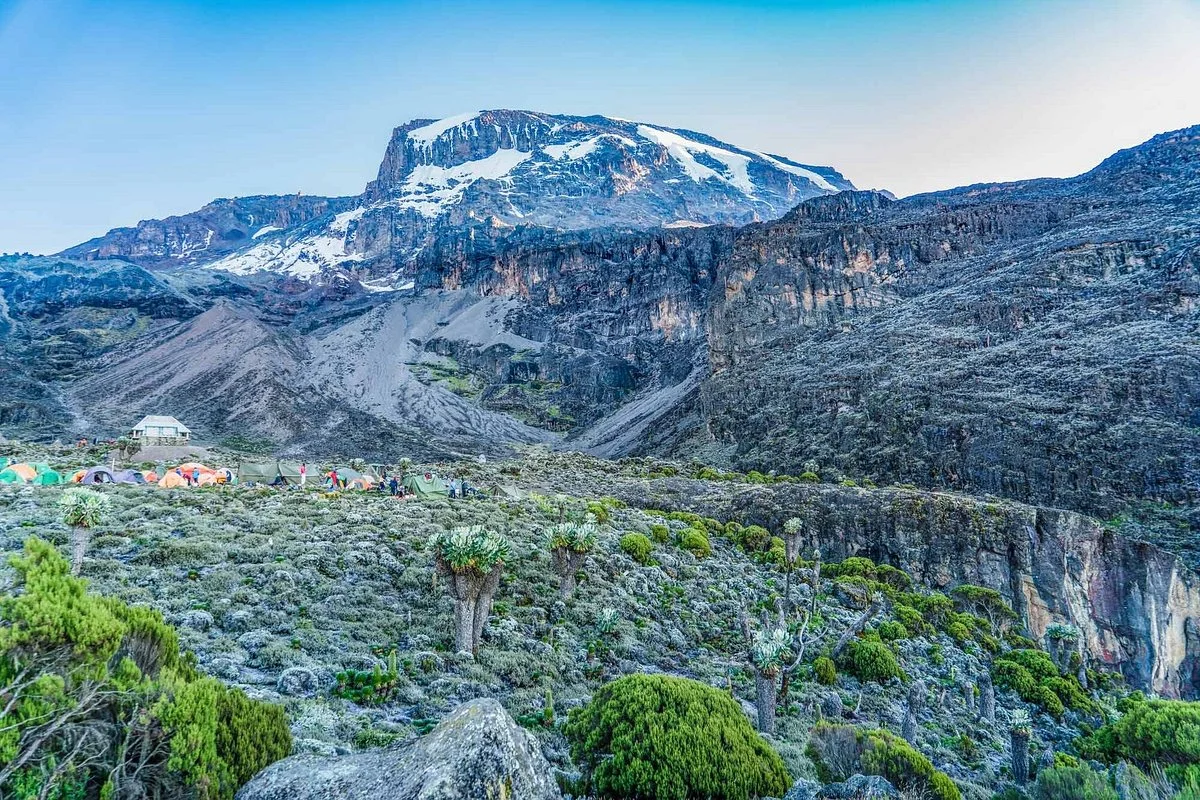 Kilimanjaro Habitas Safaris