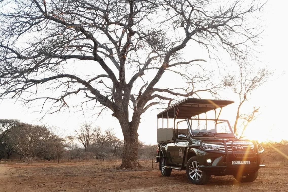 Big 5 Safaris