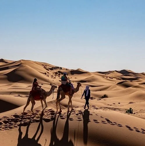 Morocco Tours Adviosr