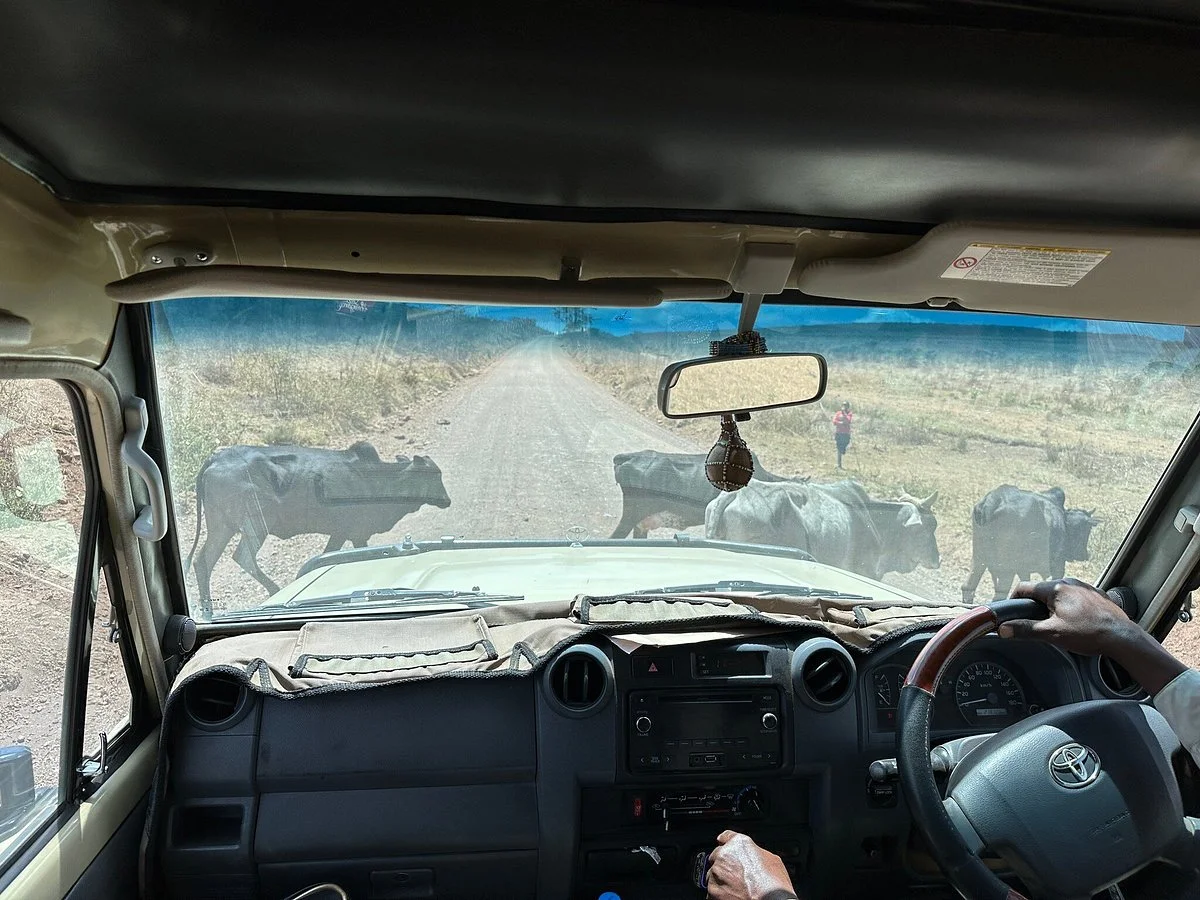 Across Tanzania Expeditions