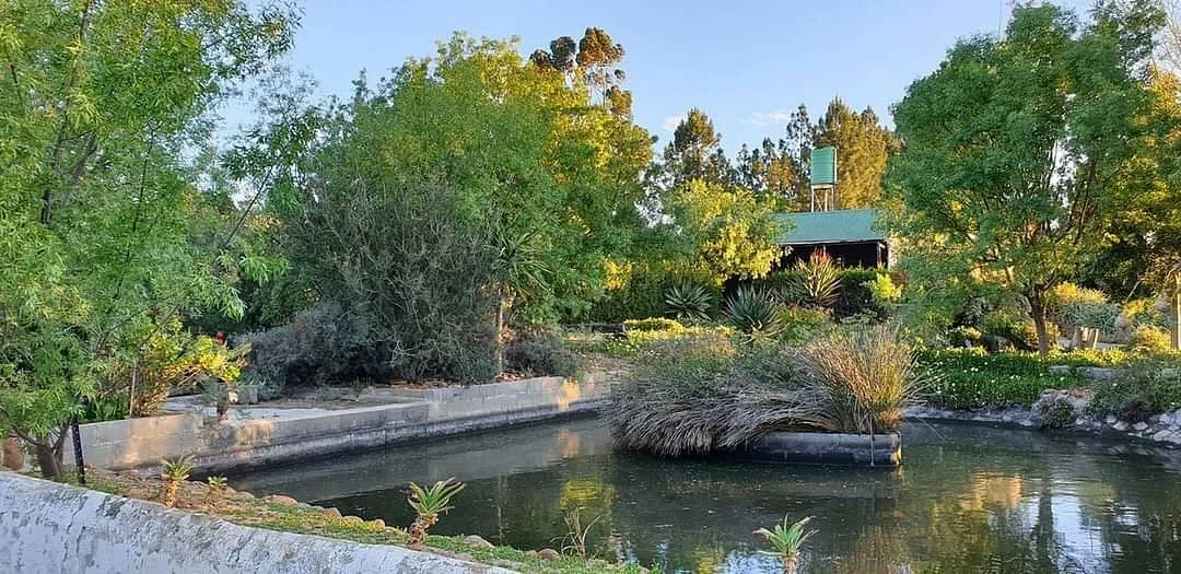 Fynbos Farm Animal Sanctuary