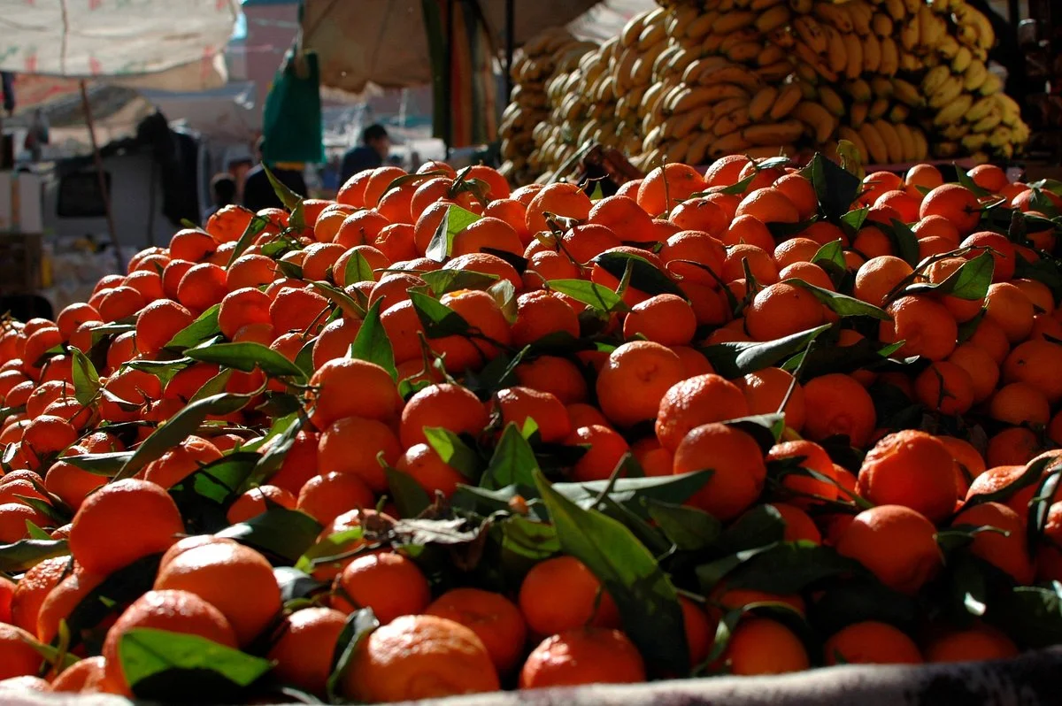 Suzanne Porter Marrakech Photo Experiences