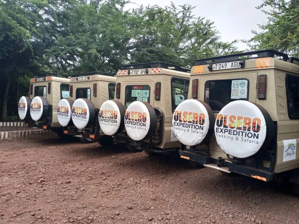 Olsero Expedition Trekking & Safaris