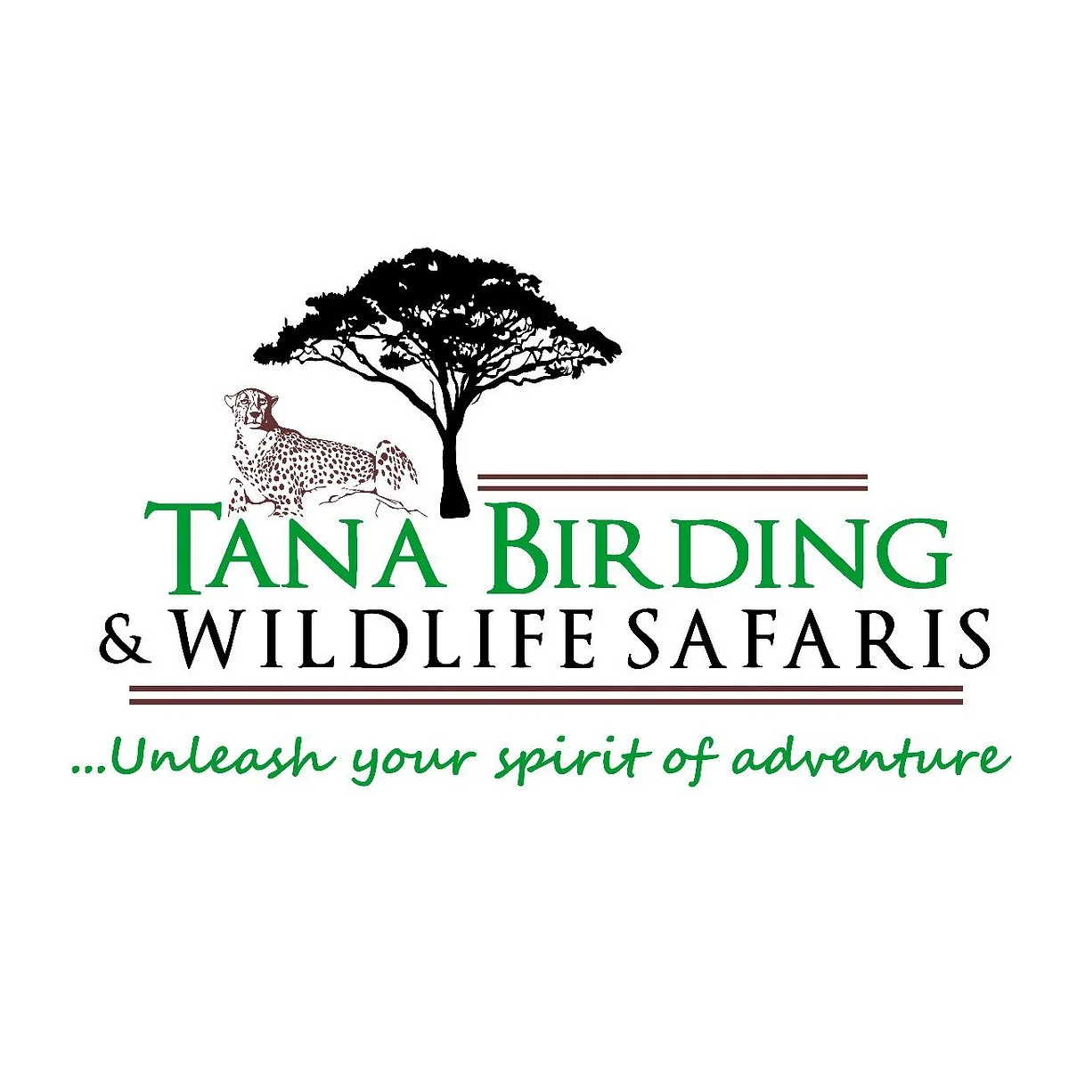 Tana Birding and Wildlife Safaris
