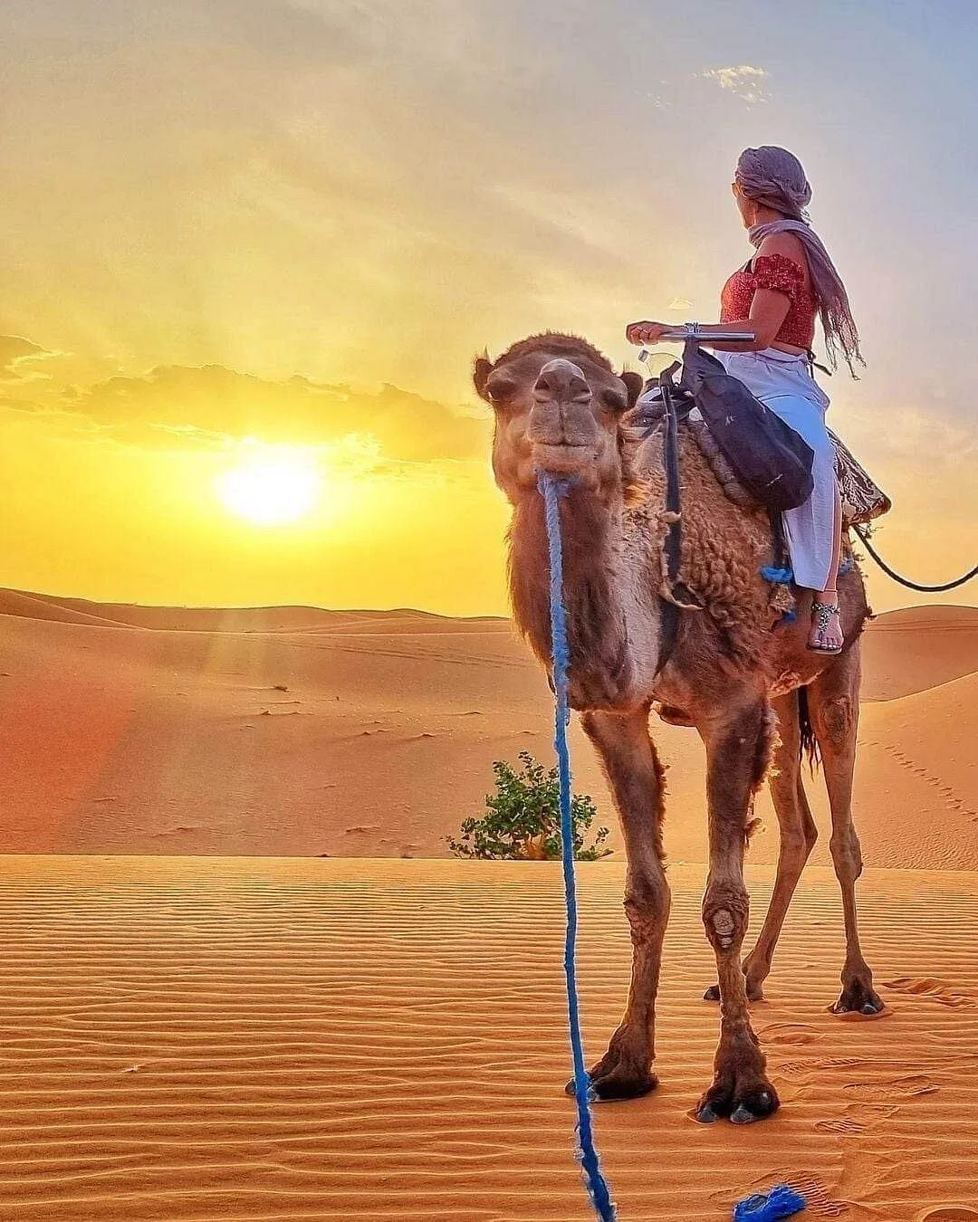 View Morocco Tours