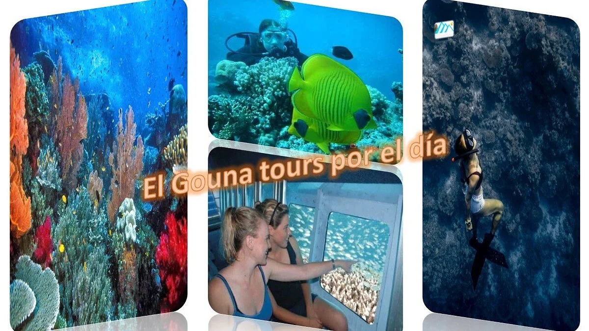 El Gouna Tours