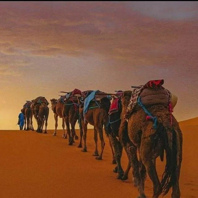 Attractive Morocco