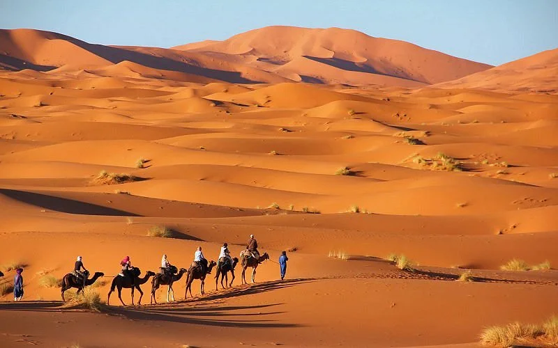 Morocco Guided Travel