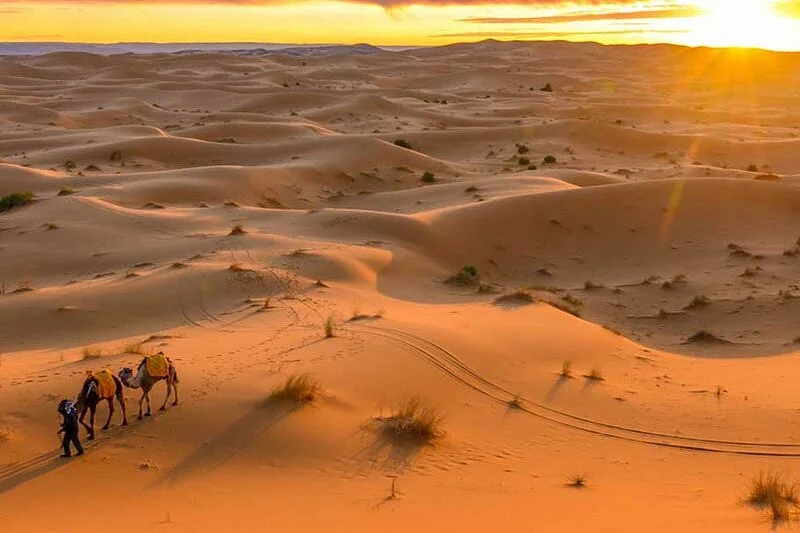 Morocco Life Travel
