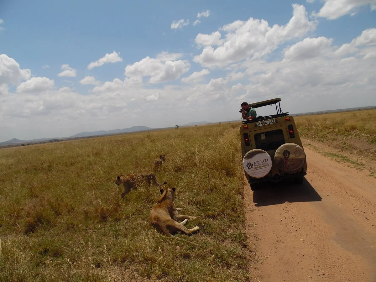 Ngutu Adventures & Safaris