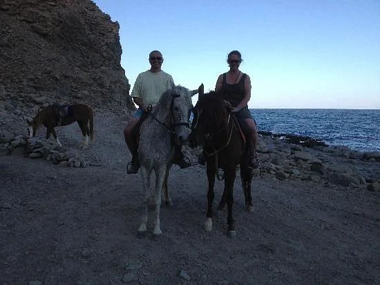 Horseriding Dahab