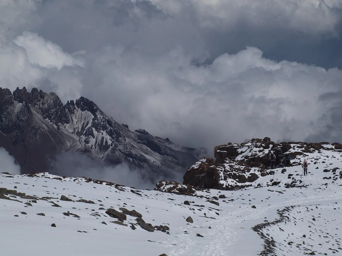 Ringo Expeditions