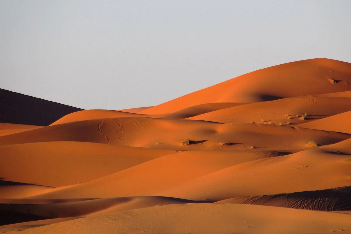Exotic Nomadic Travel