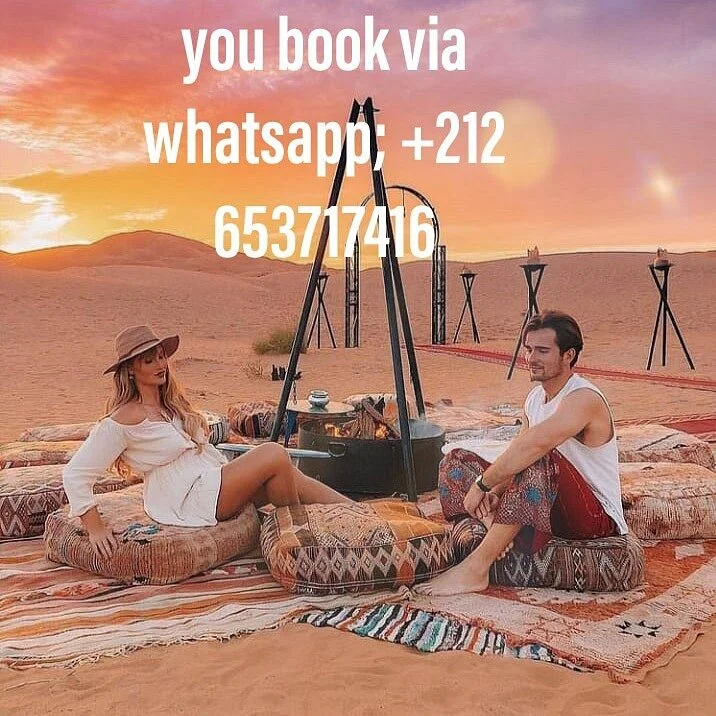 camel camp experience