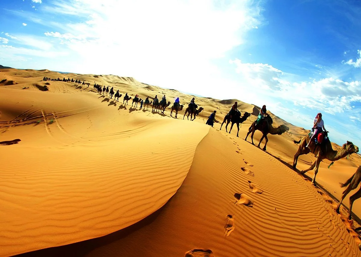 Travel At Morocco Tours