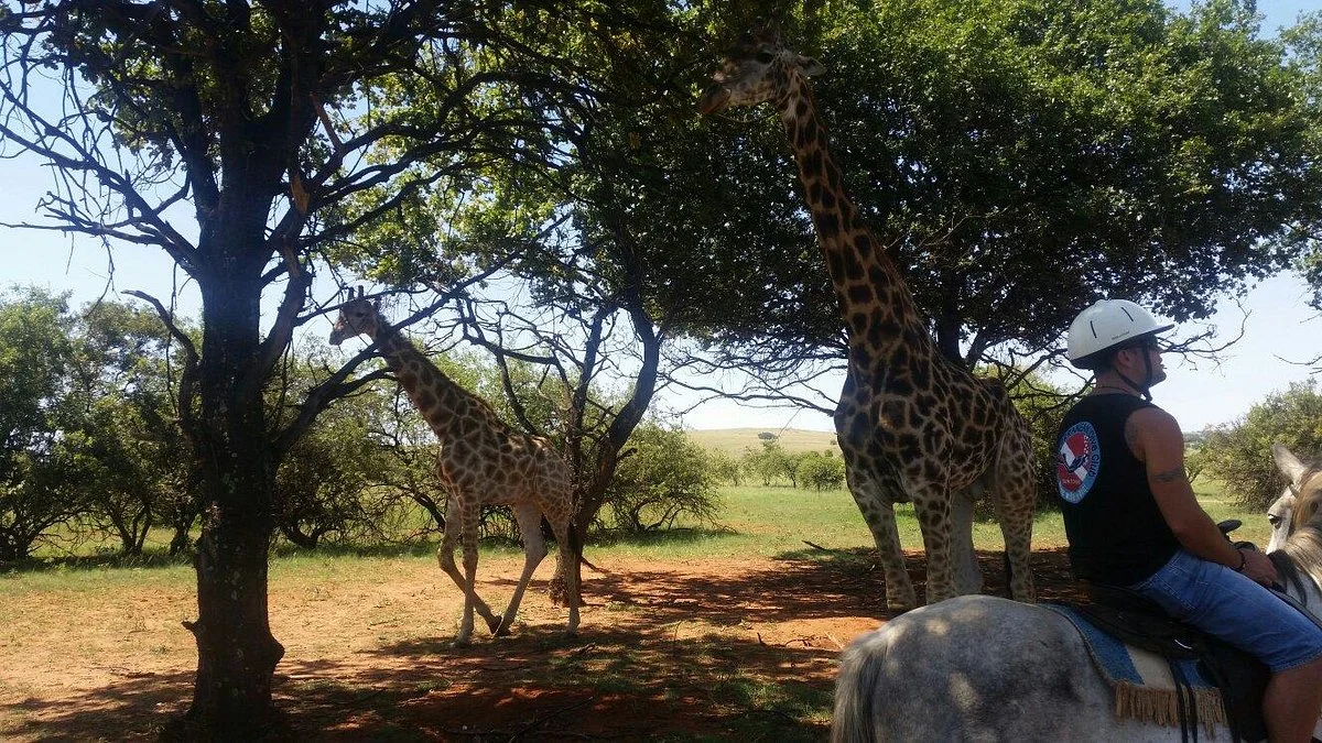 African Horse Safaris