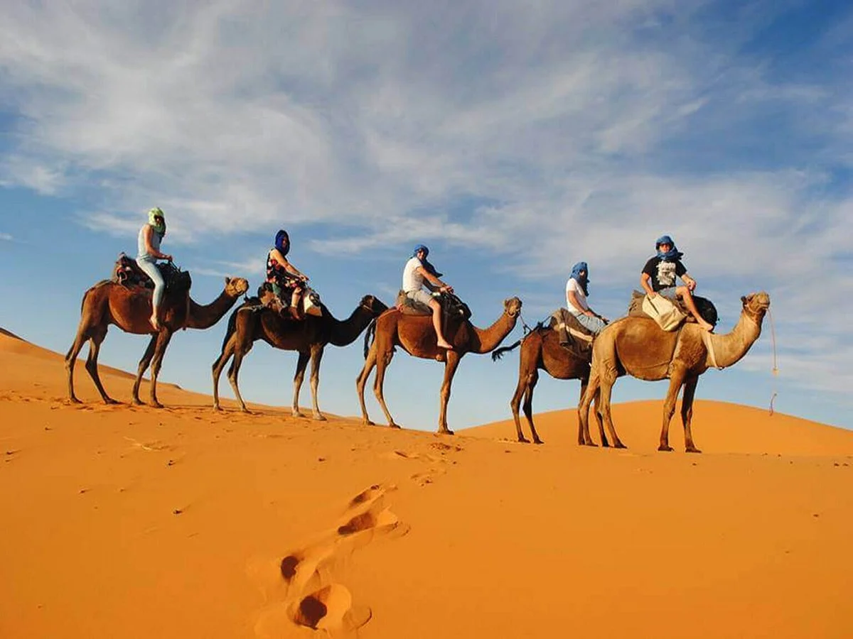 Admirable Morocco Tours