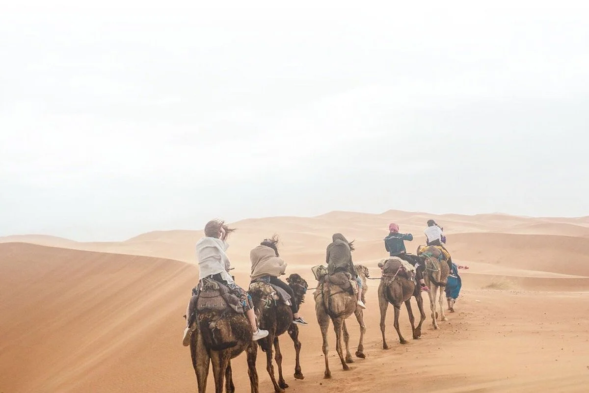 Travel Link Morocco