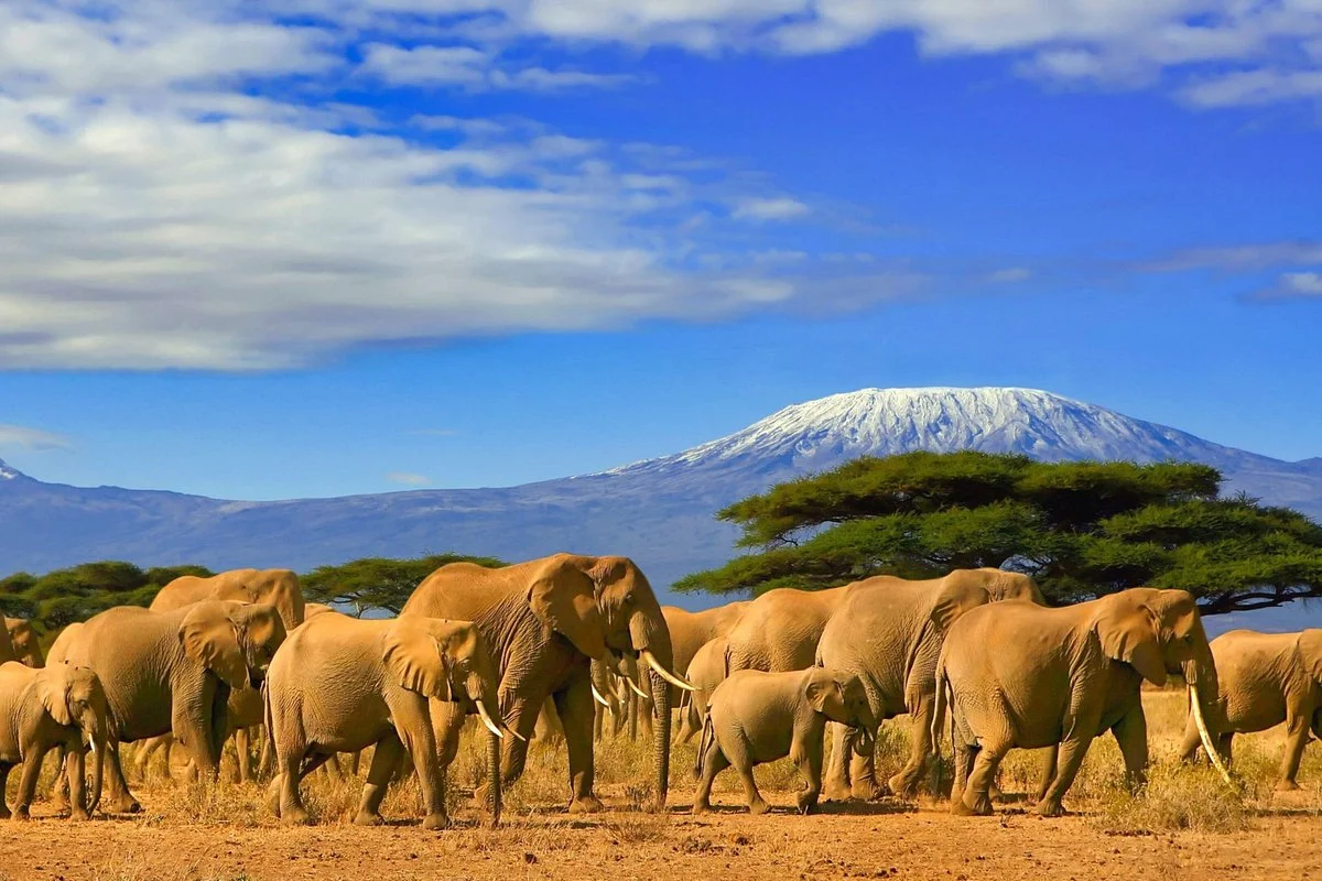 Afriman Tours