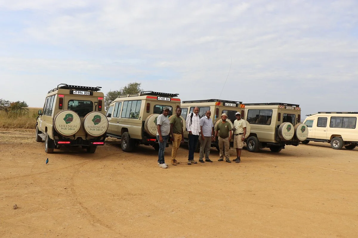 Sheengai Pride Safaris