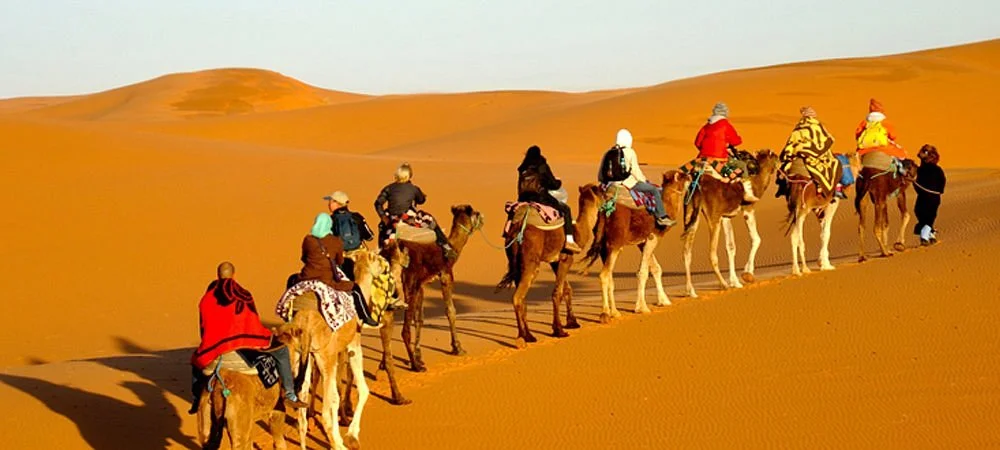 Africa Desert Tour