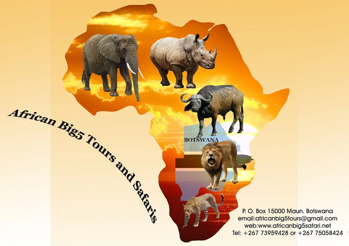 African Big Five Tours and Safaris