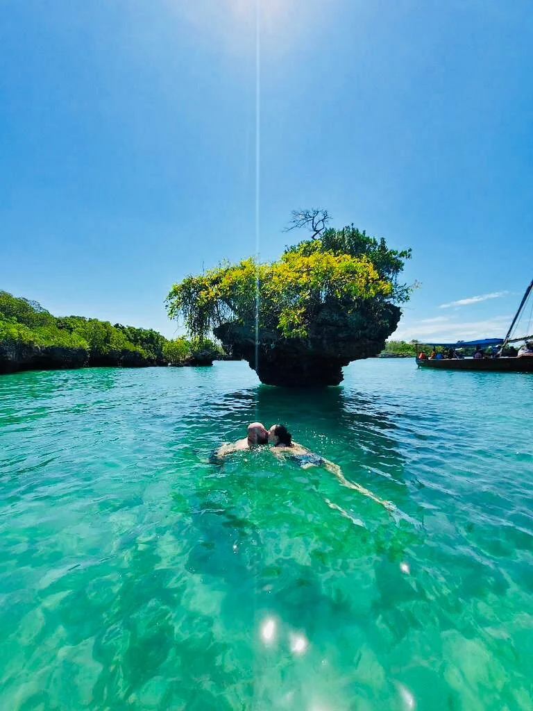 Zanziflowers Tours