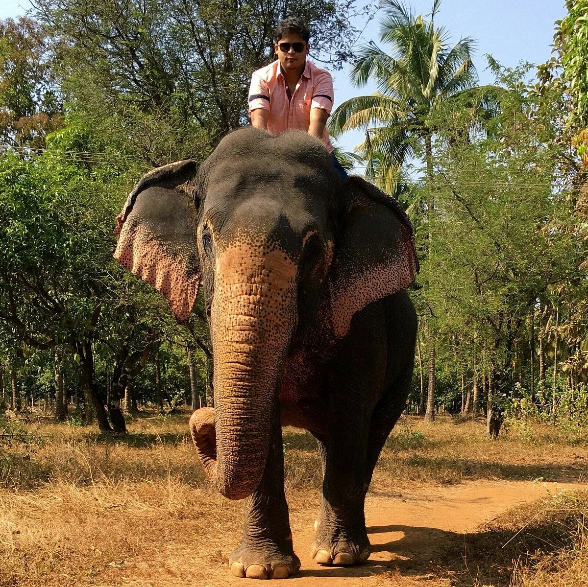 Sahyadri Spice Farm
