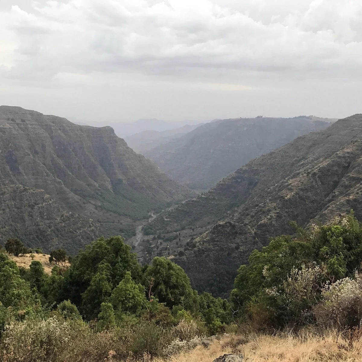 Dawoud Sulayman - Simien Mountains Tours