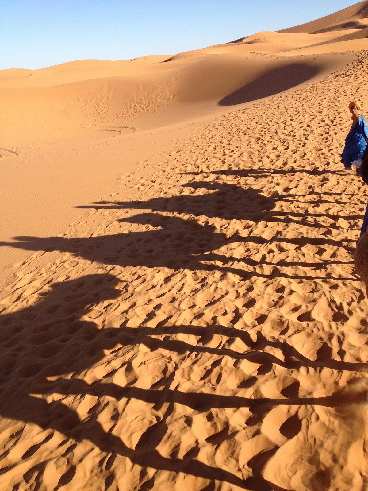 Nabil Voyage Day Tours