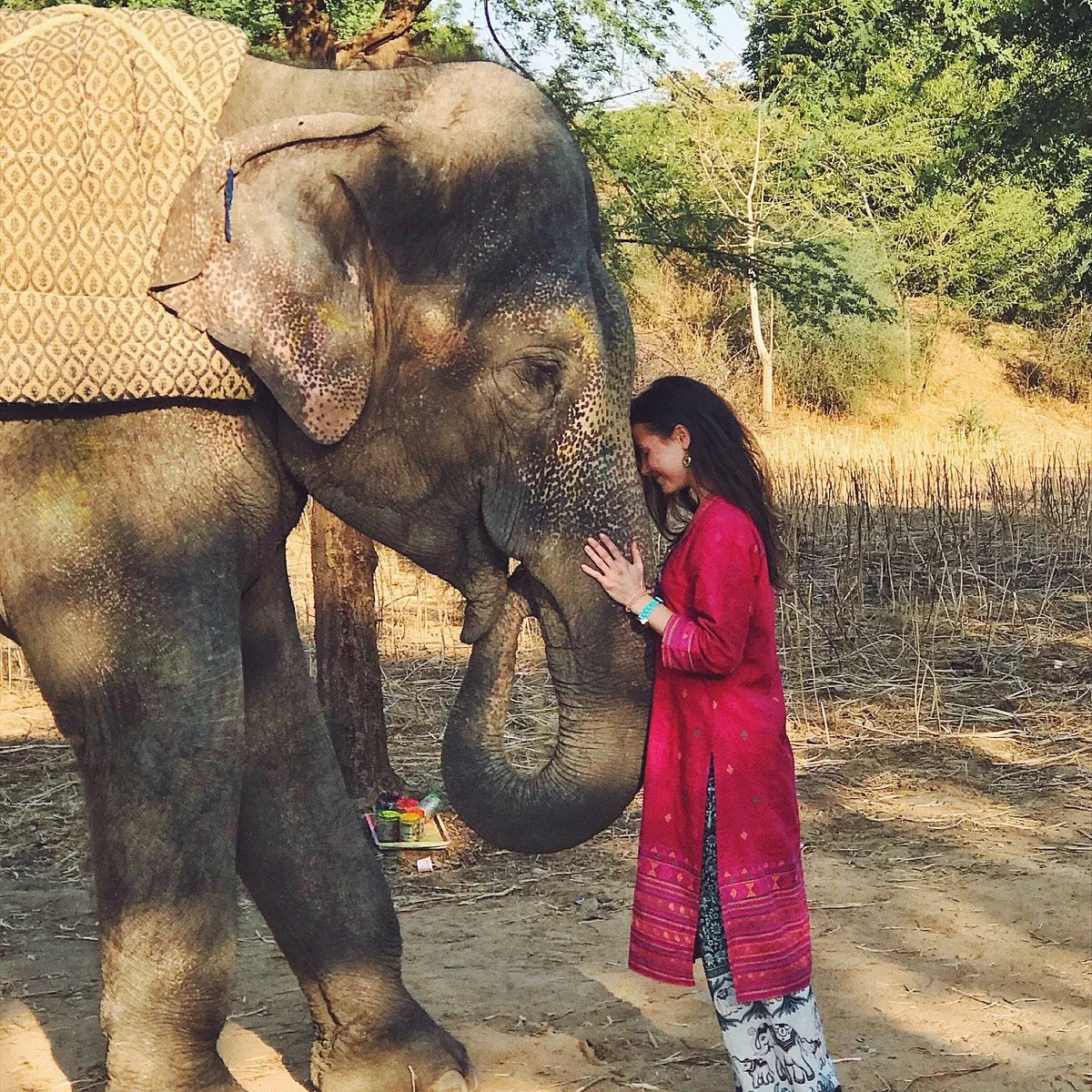 Elephant Joy