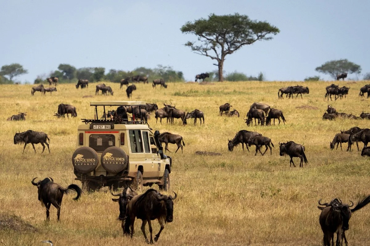 Topguides Safaris