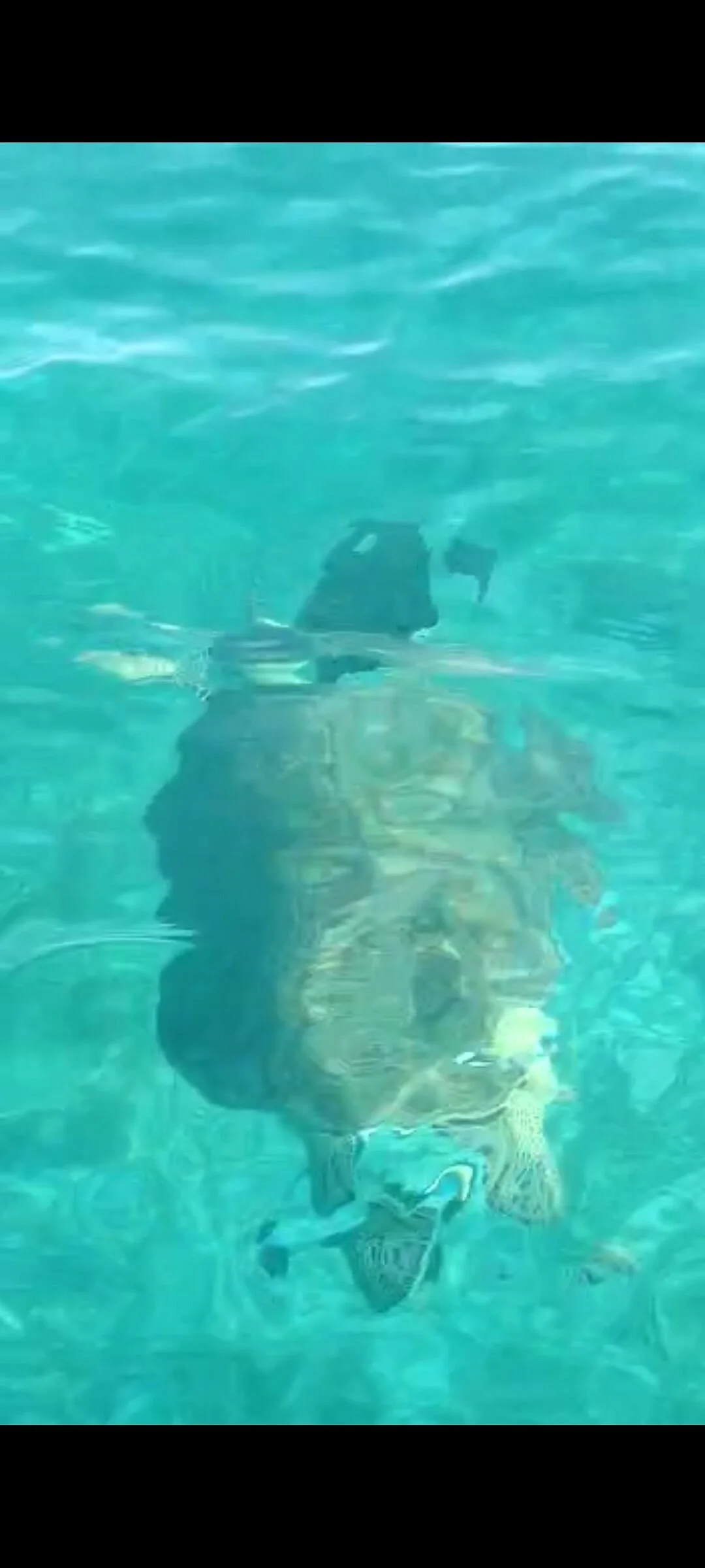 Solaris Water Sports Sharm El Sheikh