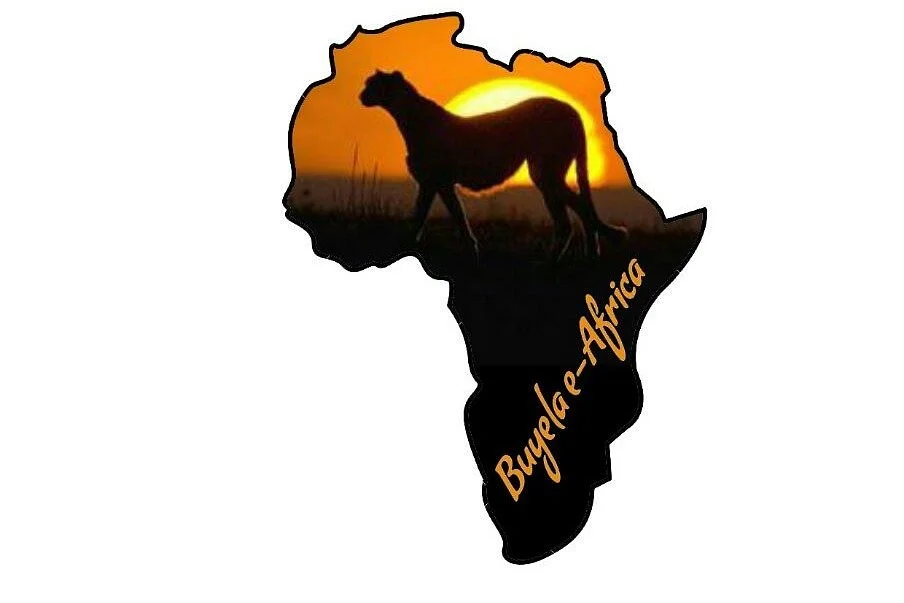 Buyela e-Africa