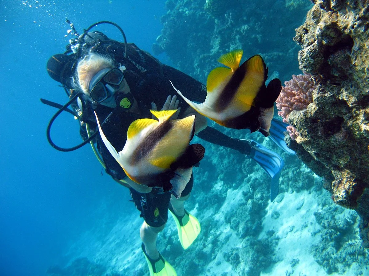 Coral Diving Club