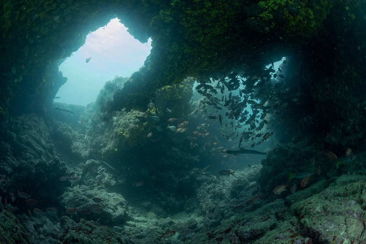 Divecenter Santiago