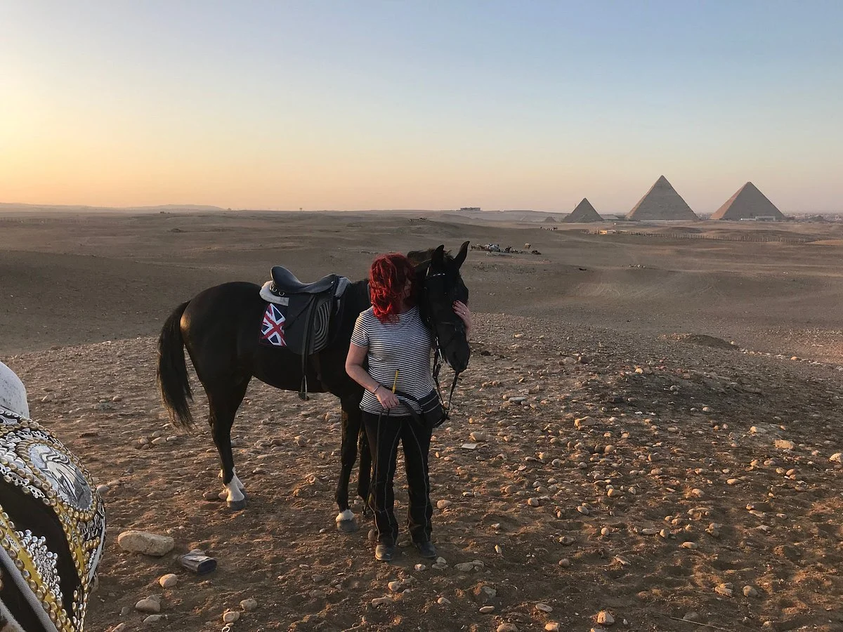 Fares Horse Tours