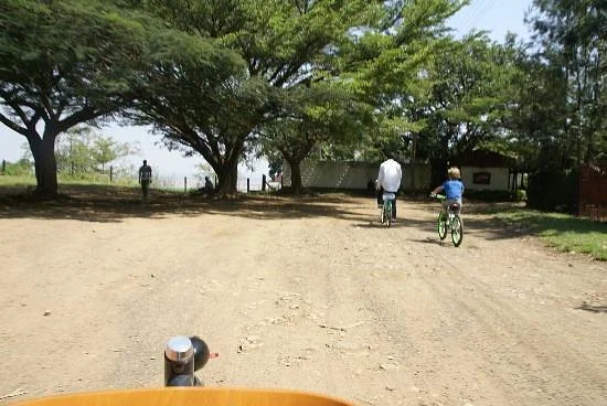Bikeventures Tours and Rentals