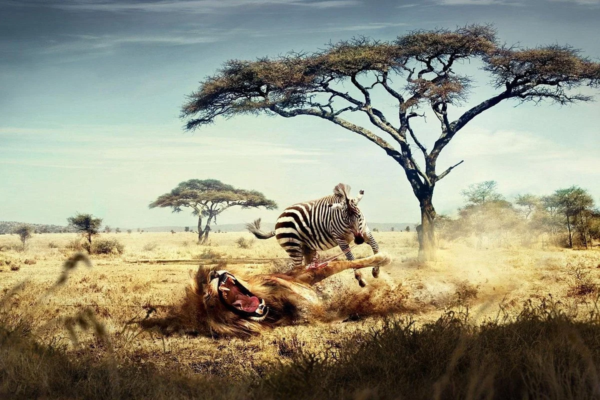 Norasia Tanzania Safari