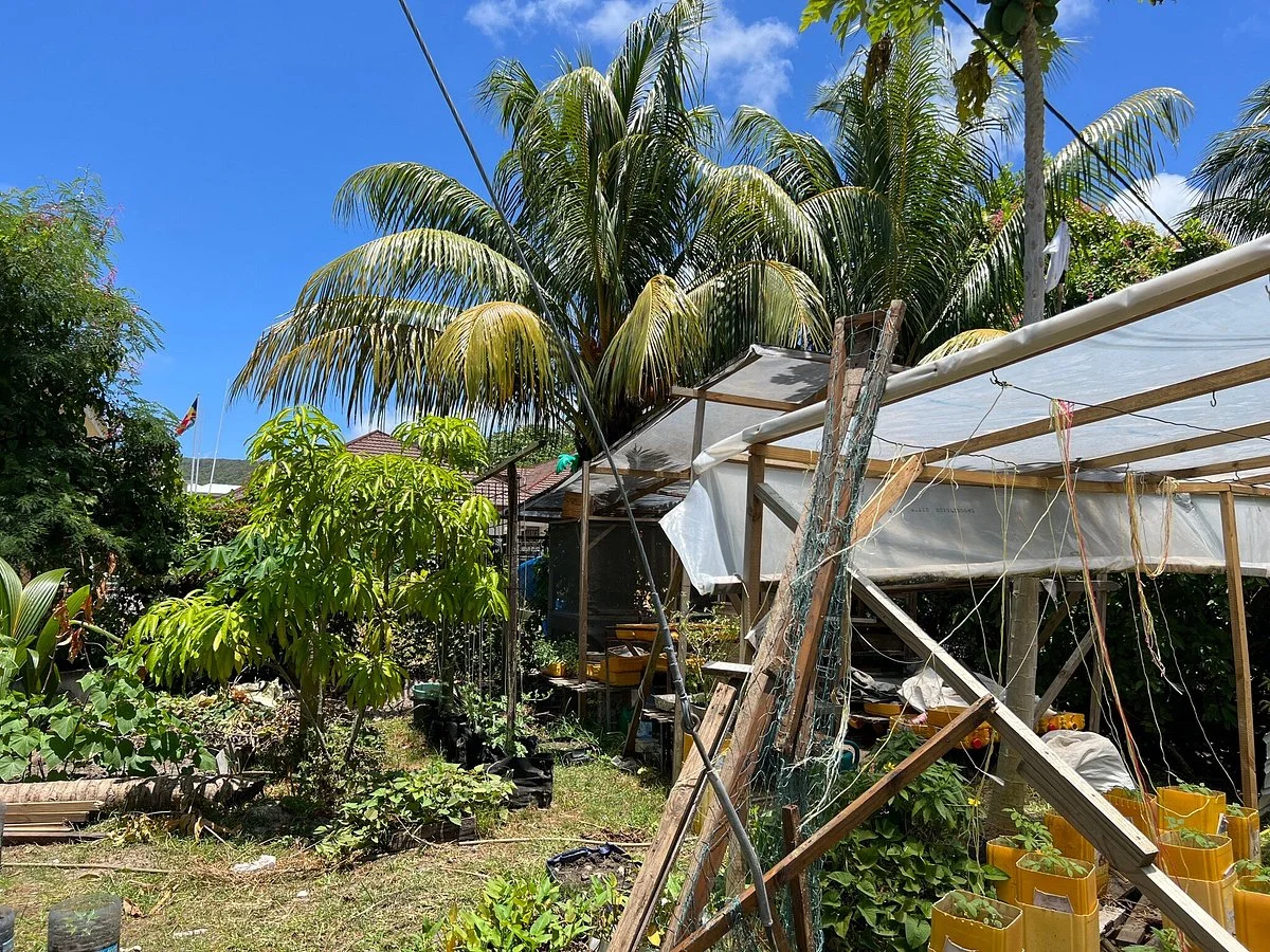 Virgin Coconut Oil Factory