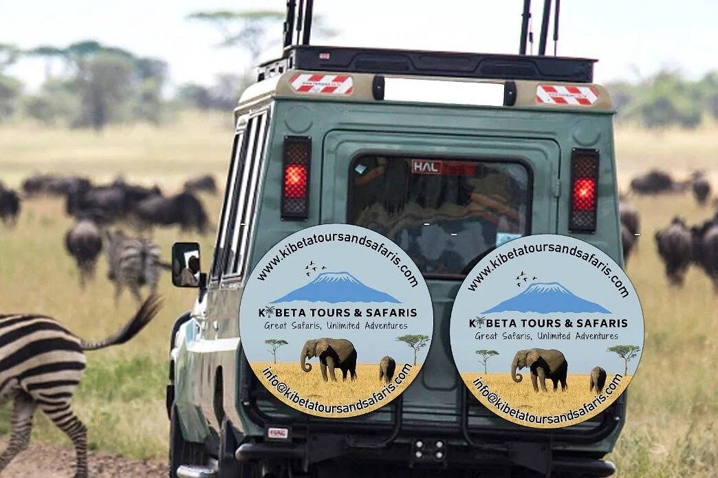 Kibeta Tours And Safaris Ltd