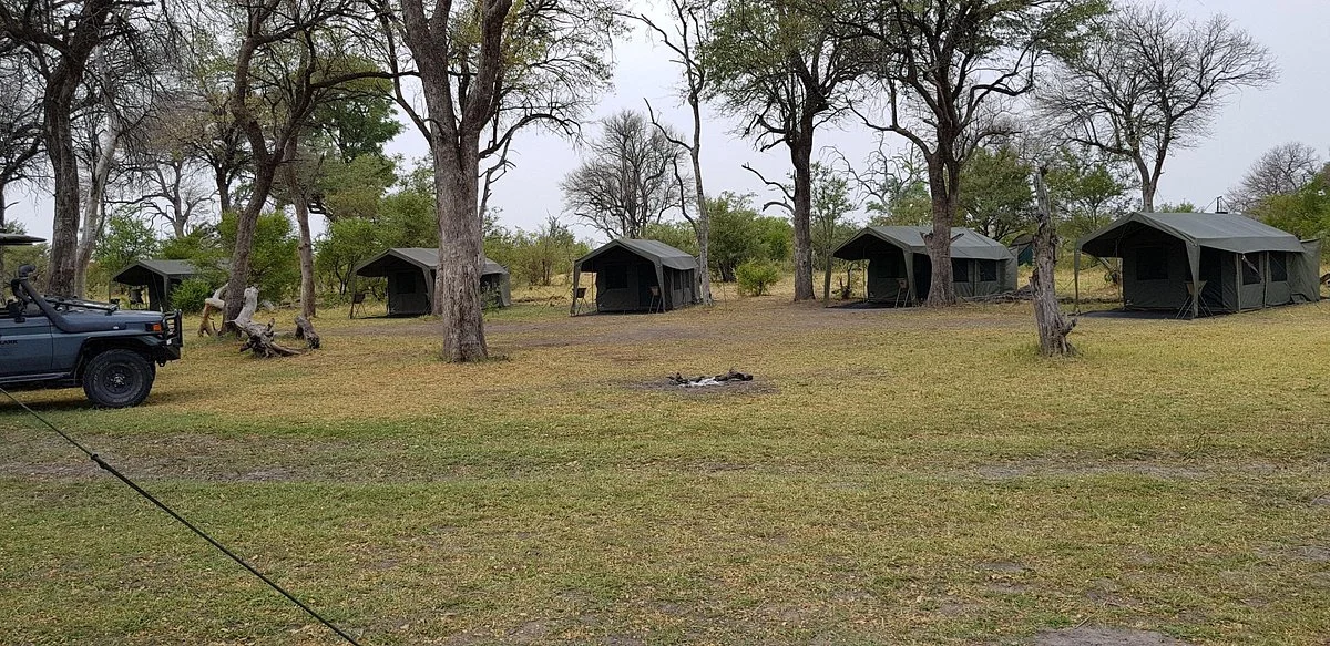 Bush Lark Safaris
