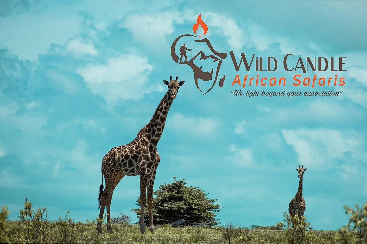 Wild Candle African Safaris