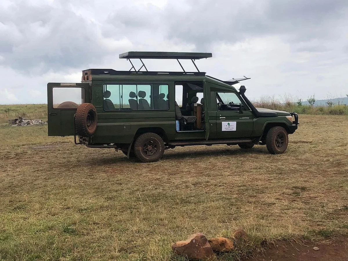 INZOZI Tours