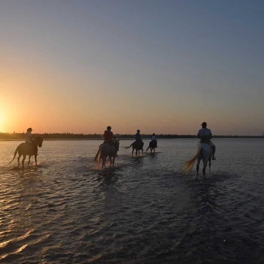 Ranch Yasmina Djerba