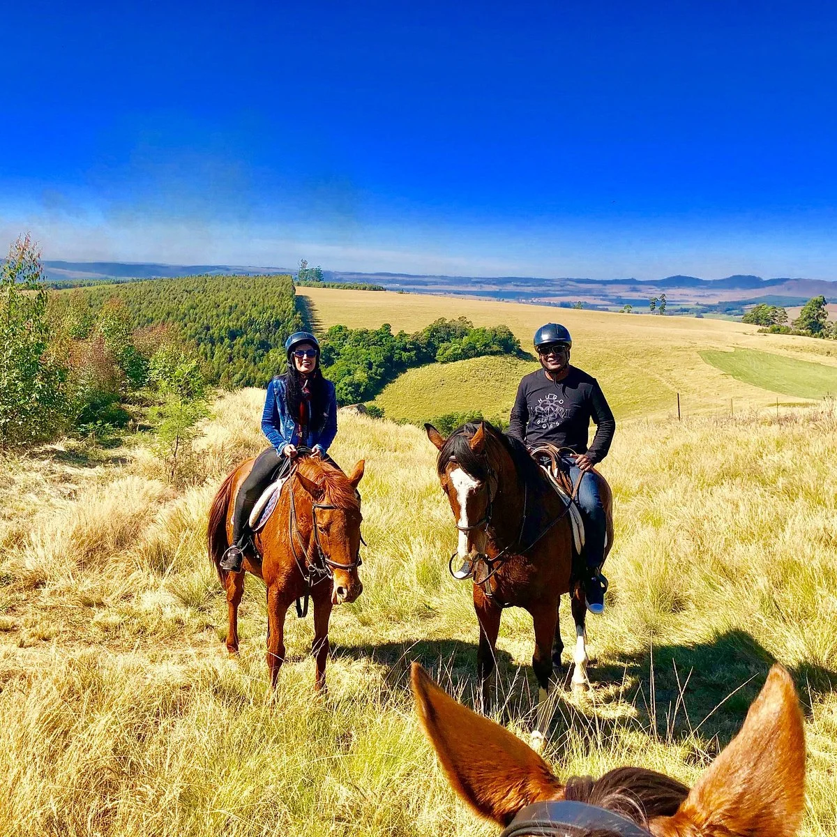 Buffelsbosch Equestrian